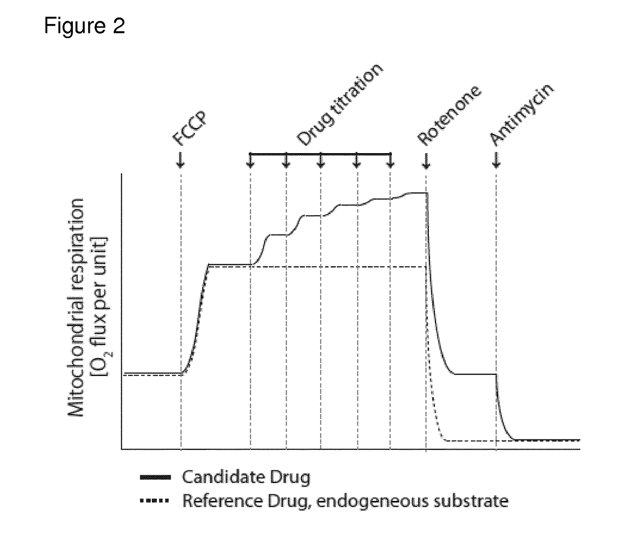 Prodrugs of Succinic Acid for Increasing ATP Production