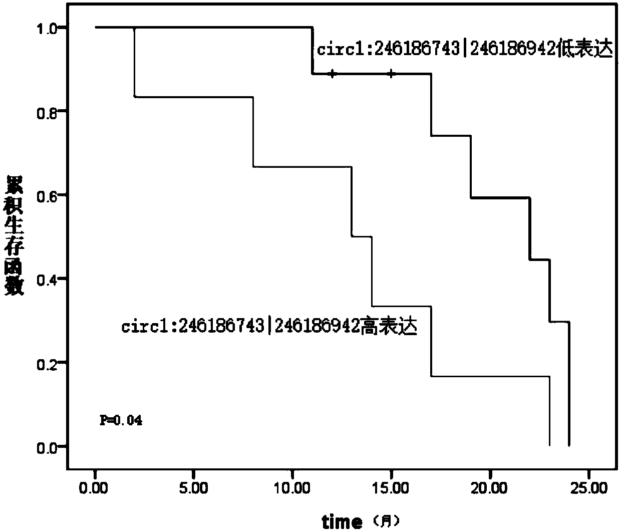 Glioma prognostic marker circ1:246186743|246186942 and application