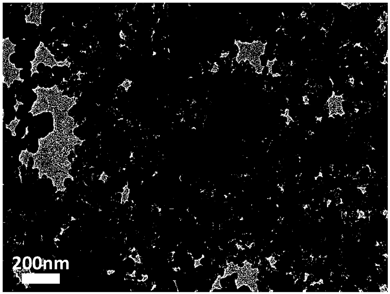 Core shell carbon nano-structure electrocatalyst with high catalytic performance and preparation method thereof