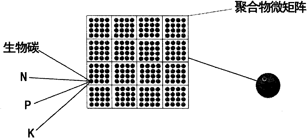 Controlled release fertilizer with high content of biological carbon and preparation method thereof