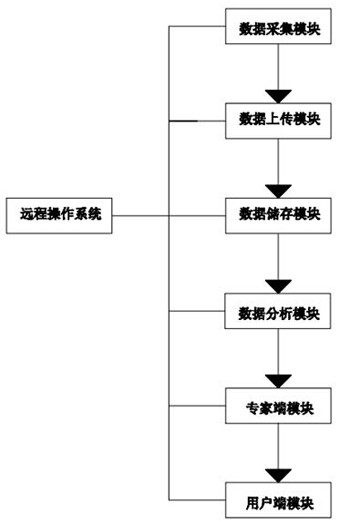 Real-time remote ophthalmoscope inspection device and system