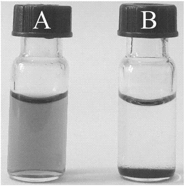 Chitosan-platinum nano particle simulation oxidase