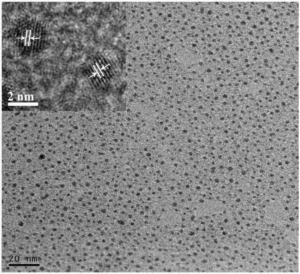 Chitosan-platinum nano particle simulation oxidase