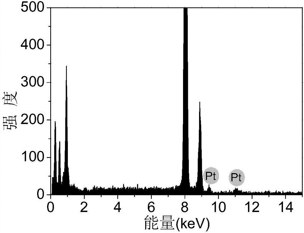 Chitosan-platinum nano particle simulation oxidase