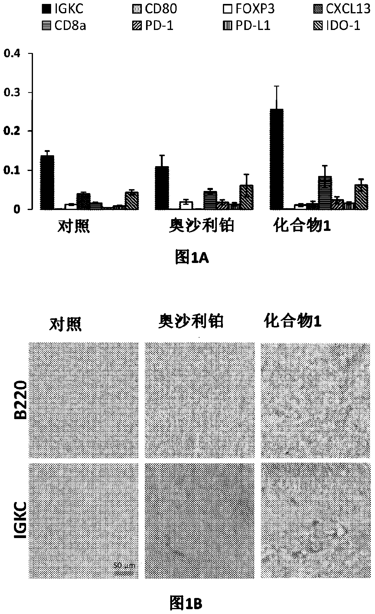 Immune memory induction by platinum based compounds