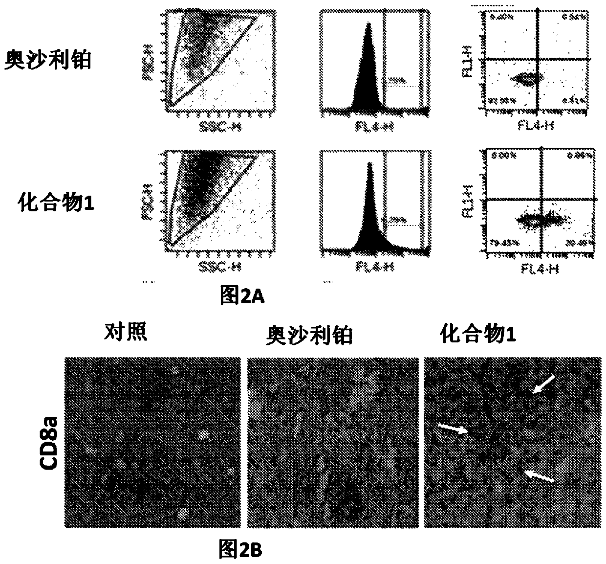 Immune memory induction by platinum based compounds