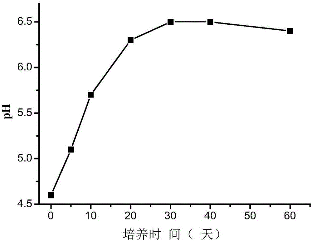 Acidic soil conditioner and preparation method and application thereof