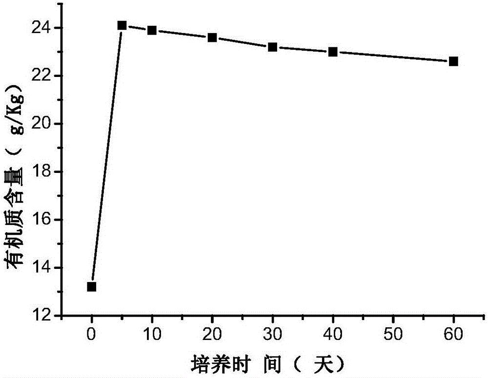 Acidic soil conditioner and preparation method and application thereof