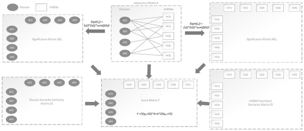 An improved method for predicting miRNA-disease associations based on collaborative filtering