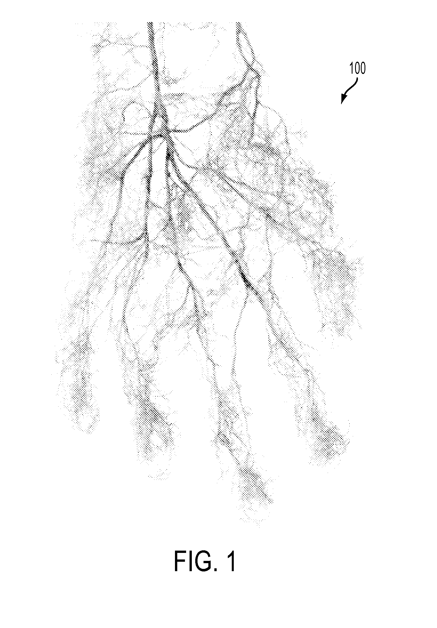 Subcutaneous vein pattern detection via multi-spectral IR imaging in an identity verification system