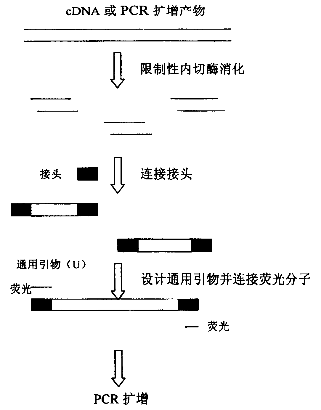 Limited fluorescence labelling method