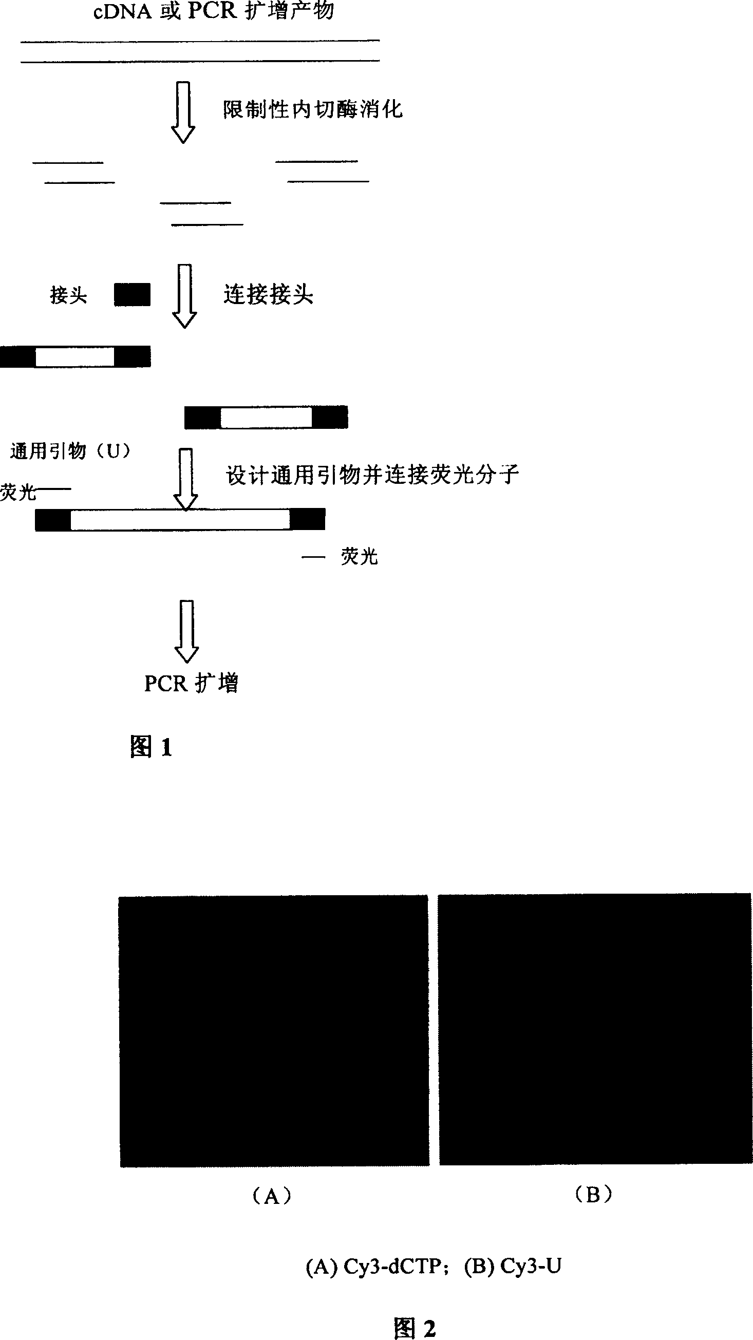 Limited fluorescence labelling method