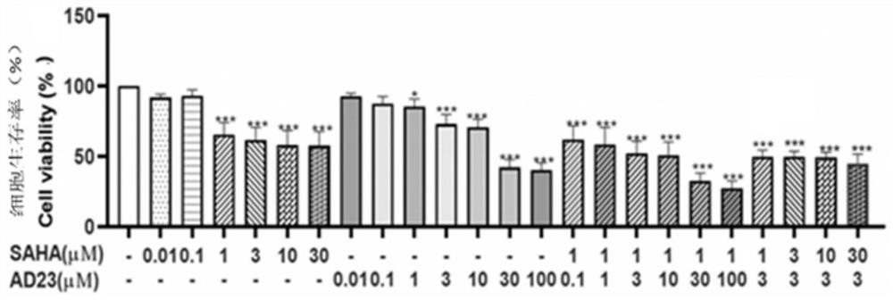 Inhibition effect of nobiletin as BH3 mimetic drug on small cell lung cancer and synergistic effect of nobiletin and histone deacetylase inhibitor