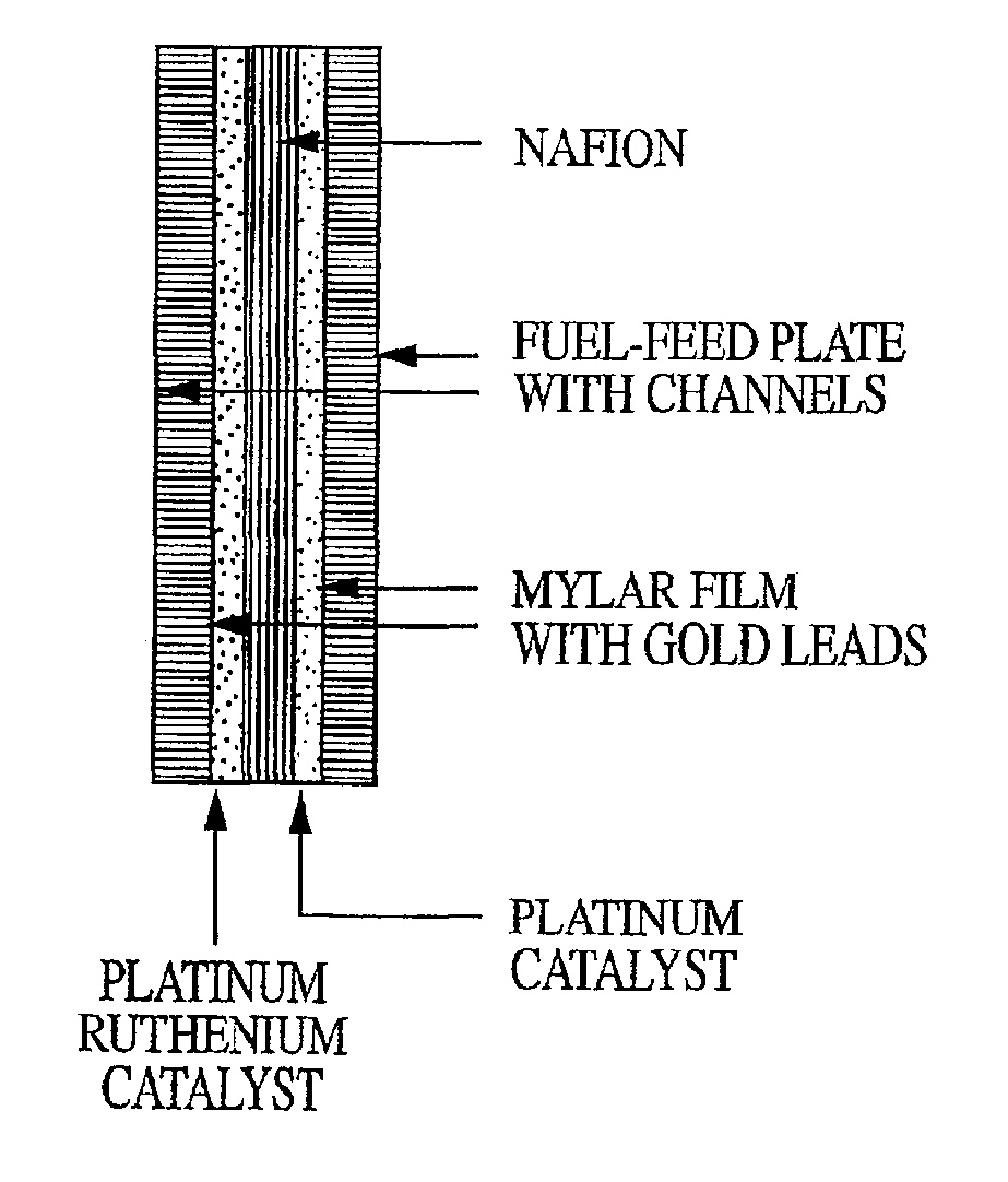 Scalable all-polymer fuel cell