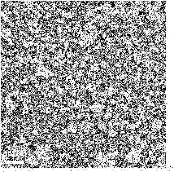 Method for preparing super-hydrophobic indium antimonide film by deposition in ionic liquid