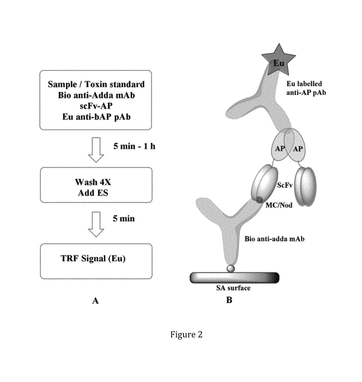 Antibodies against immunocomplexes comprising cyanobacterial cyclic peptide hepatotoxins