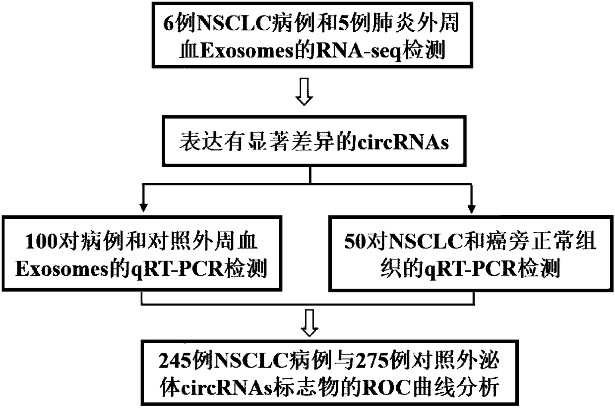 Plasma exosome circRNA marker for non-small cell lung cancer as well as detection primer and kit thereof