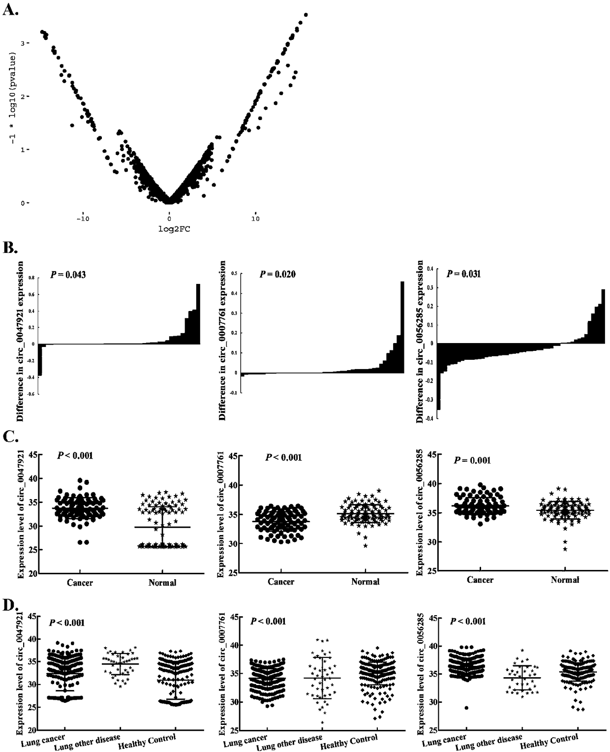 Plasma exosome circRNA marker for non-small cell lung cancer as well as detection primer and kit thereof