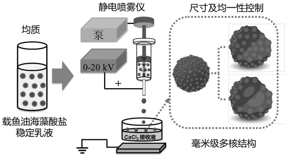 A millimeter-scale multi-core capsule for delivering nutrients/drugs to the small intestine and slow-release and its preparation method and application