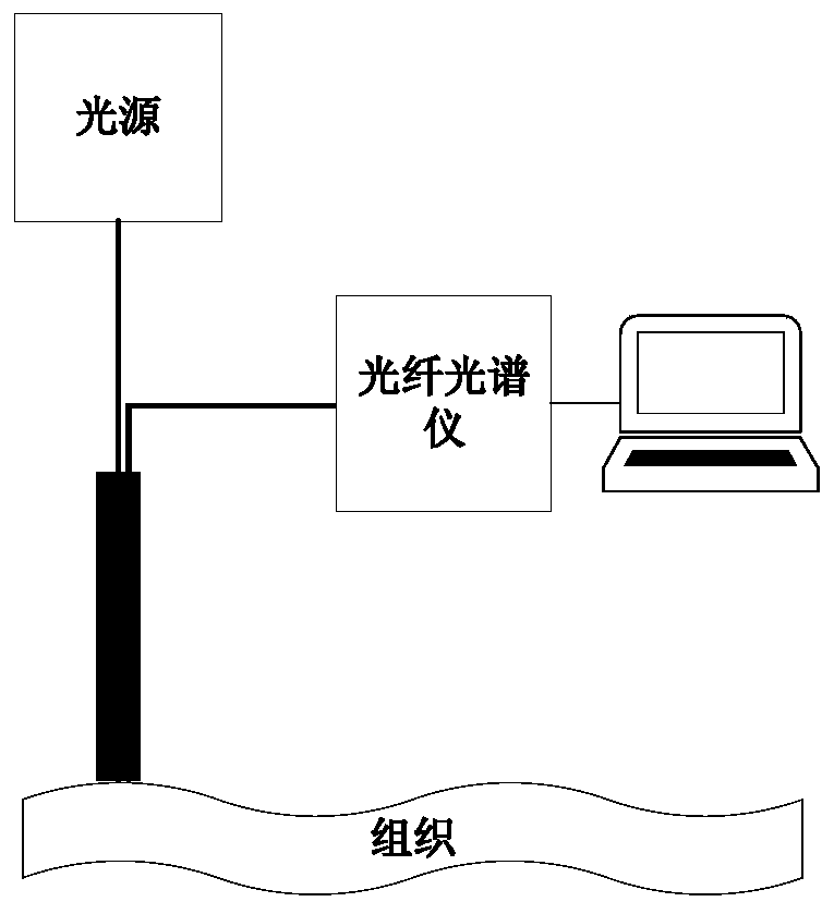 Cervical cancer precancerous lesion diagnosis method based on spectral characteristic parameters