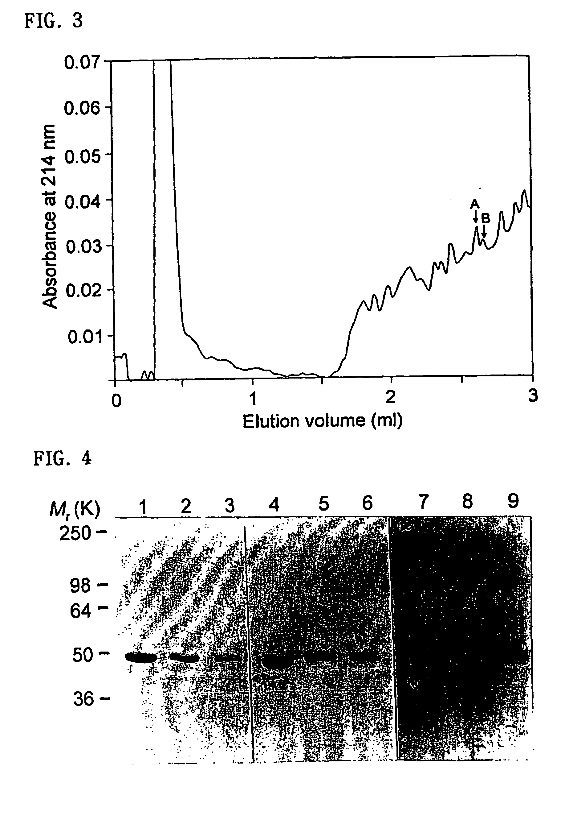 Detection of autoantibodies to cytokeratin 18 protein in patients with bronchial asthma and chronic rhinitis, and its applications including a kit for diagnosing bronchial asthma and chronic rhinitis comprising mammalian cytokeratin 18 protein