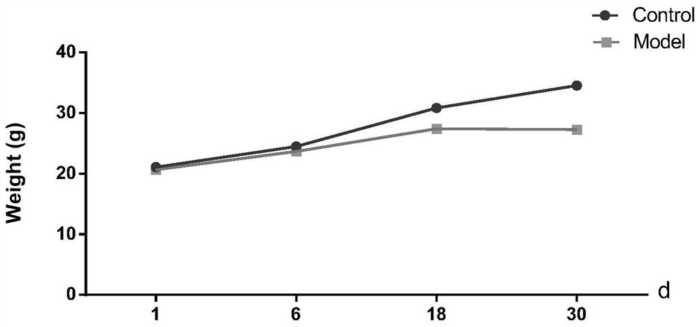 Method for establishing a mouse model of functional dyspepsia