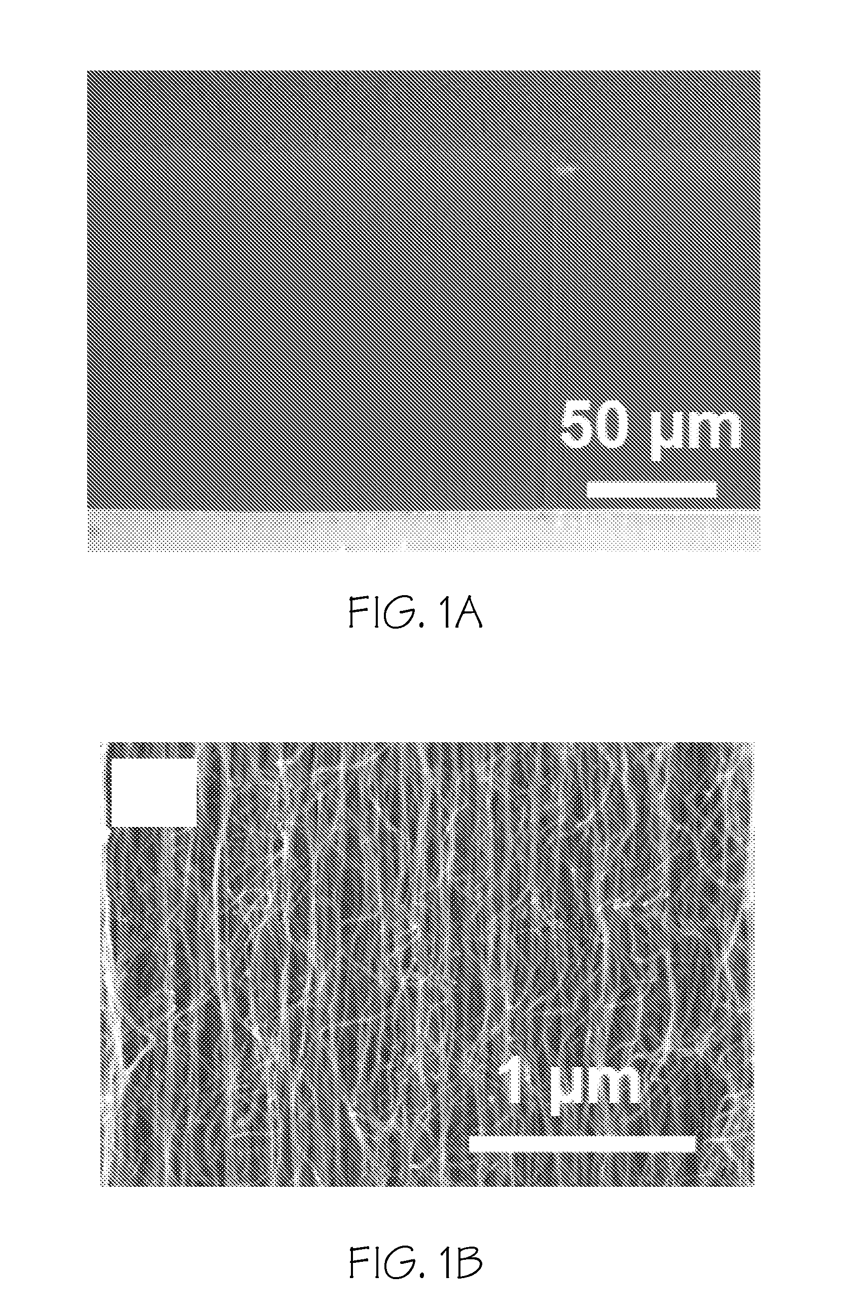 Aligned carbon nanotubes for dry adhesives and methods for  producing same