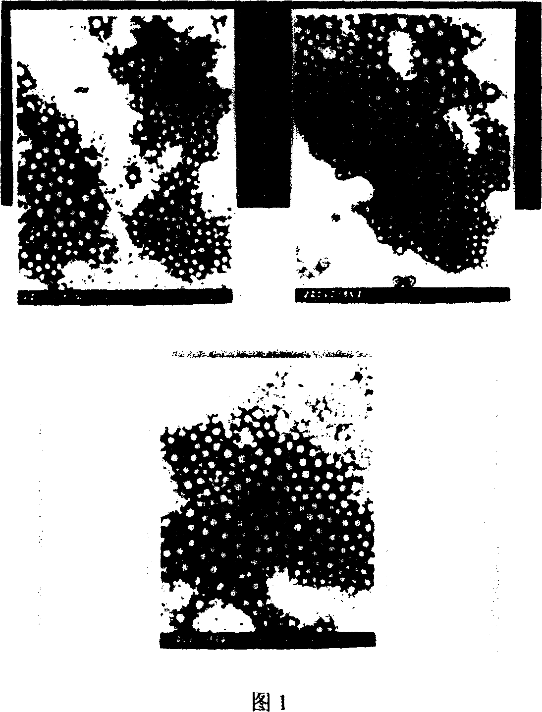 Nanometer granule prepn of bufanin albumin and its prepn process