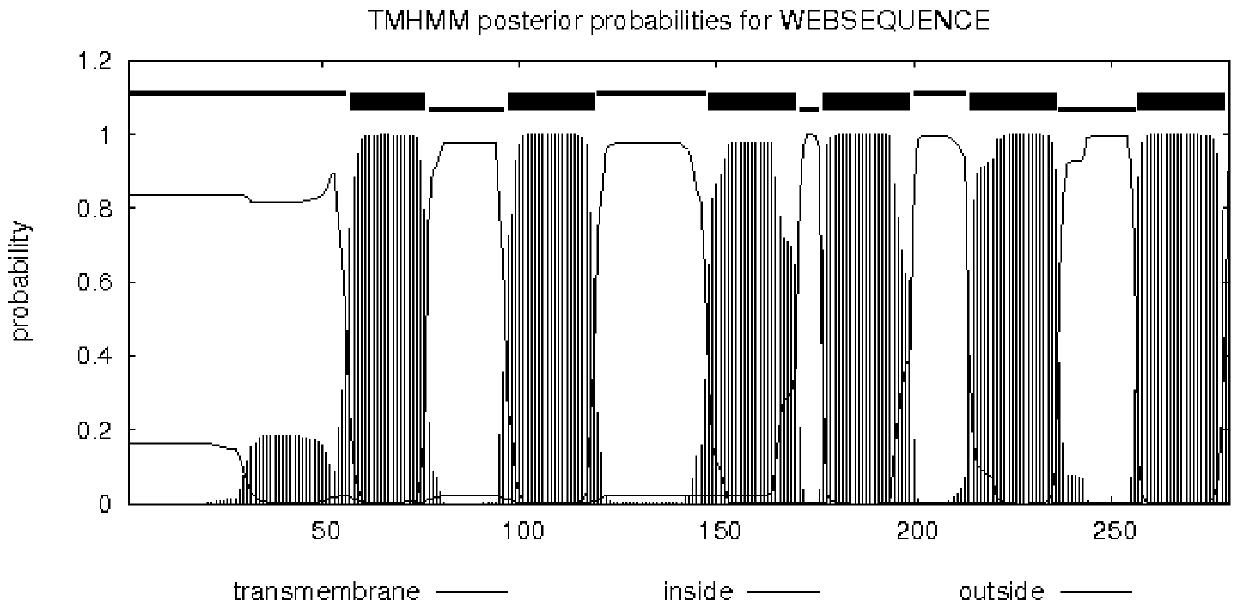 Kenaf mitochondrial protein COX3 antigen polypeptide and method for preparing polyclonal antibody and application