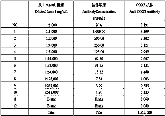 Kenaf mitochondrial protein COX3 antigen polypeptide and method for preparing polyclonal antibody and application