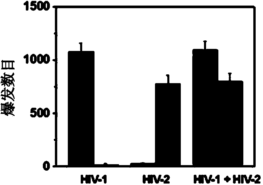 DNA detection kit, and preparation method and applications thereof