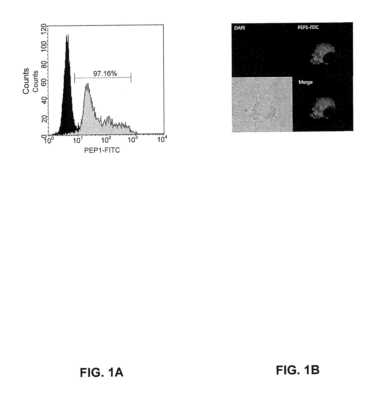 Dendritic Cell Therapeutic Agent and Immunotherapeutic Agent Comprising Peptide Derived from Telomerase, and Therapeutic Methods Using the Same