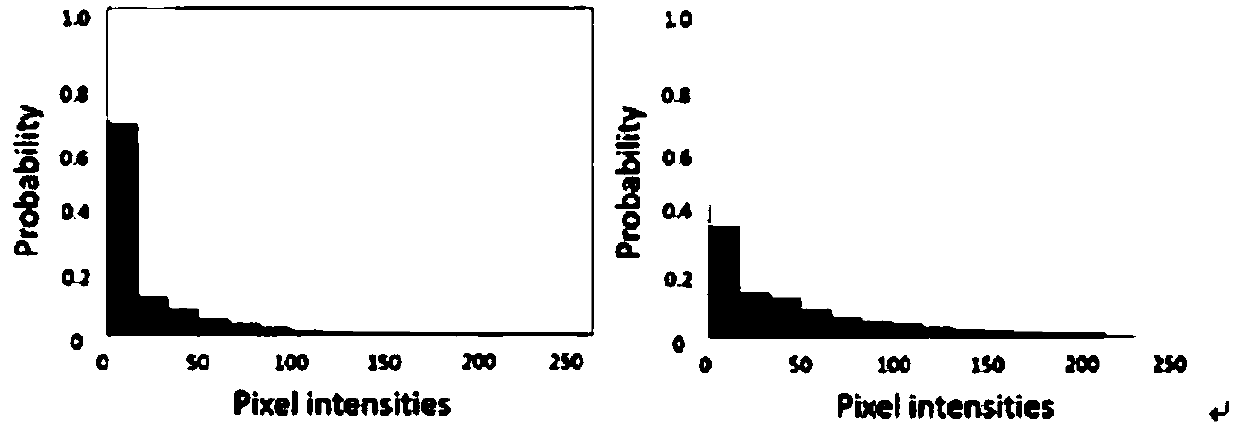 Underwater image enhancement method based on optimal restoration parameter