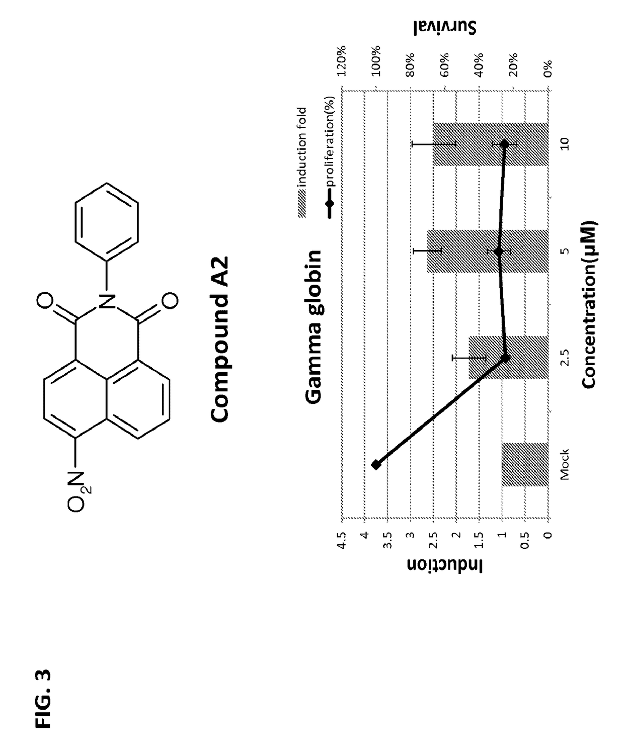 Methods and compositions for treating β-thalassemia and sickle cell disease