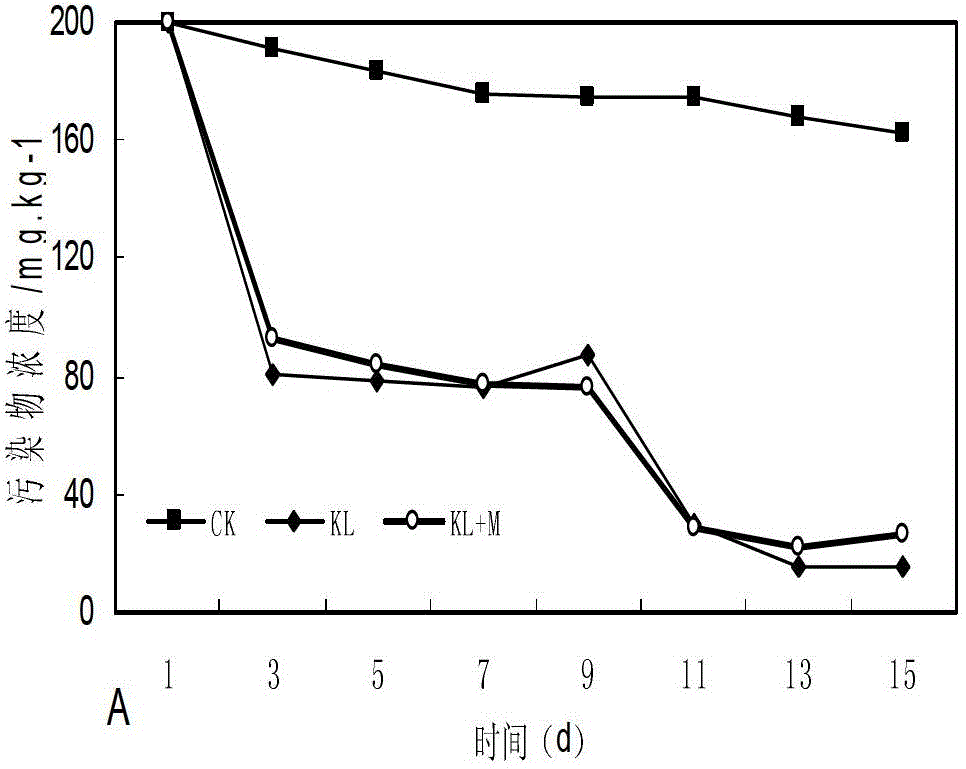 Heavy metal-resistant polycyclic aromatic hydrocarbon (PAHs) degrading bacteria and application thereof in remediation of composite contaminated soil