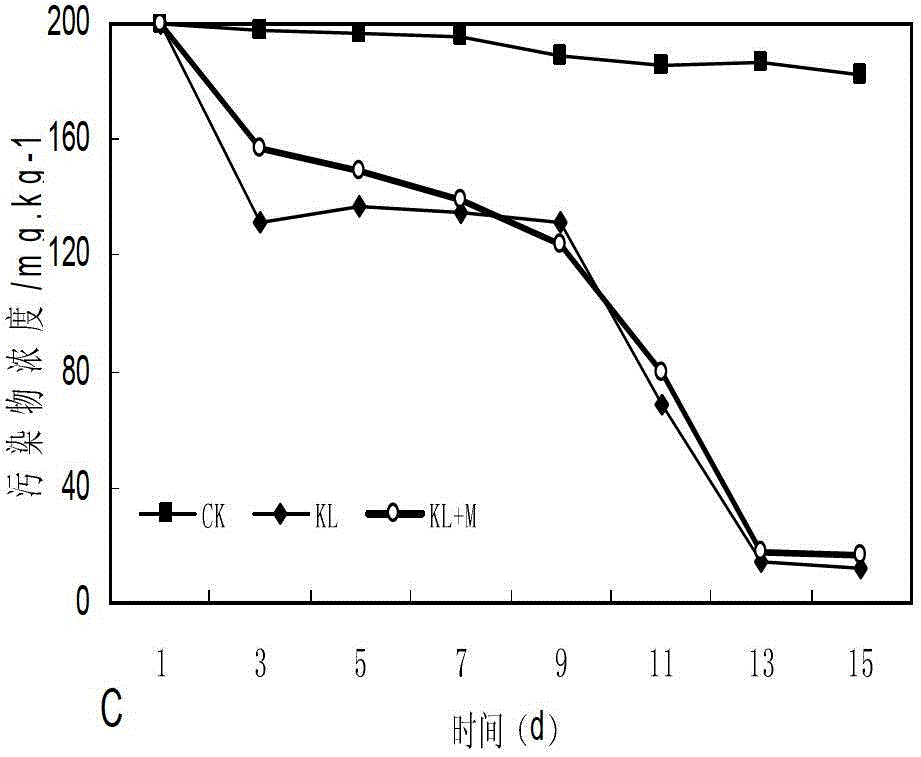 Heavy metal-resistant polycyclic aromatic hydrocarbon (PAHs) degrading bacteria and application thereof in remediation of composite contaminated soil