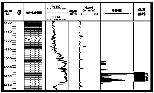 Interpretation and Evaluation Method for Water Layer Identification Using q-parameter of Mud Logging While Drilling