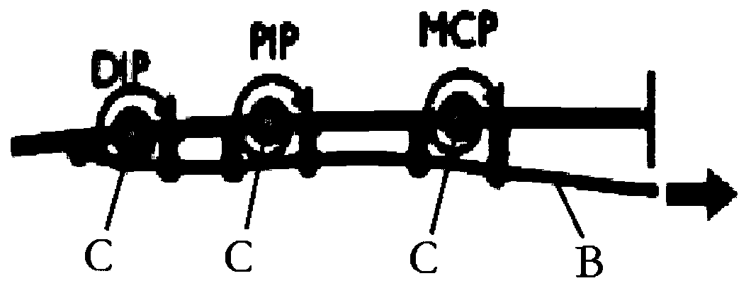 Highly integrated bionic manipulator