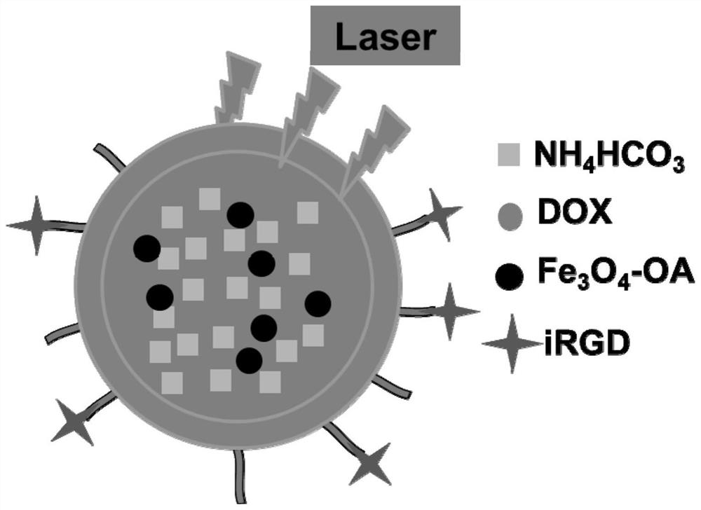 An anti-tumor magnetic drug-loaded hybrid nanocapsule and its preparation method