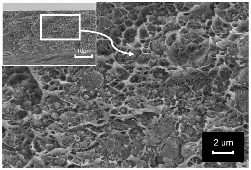 A kind of organophosphoric acid modified tio  <sub>2</sub> Preparation method of /pvc blended cation exchange membrane and its application in electrodialysis