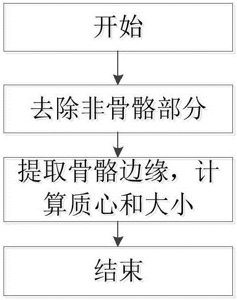 CT image spine and spinal dura mater automation detection method