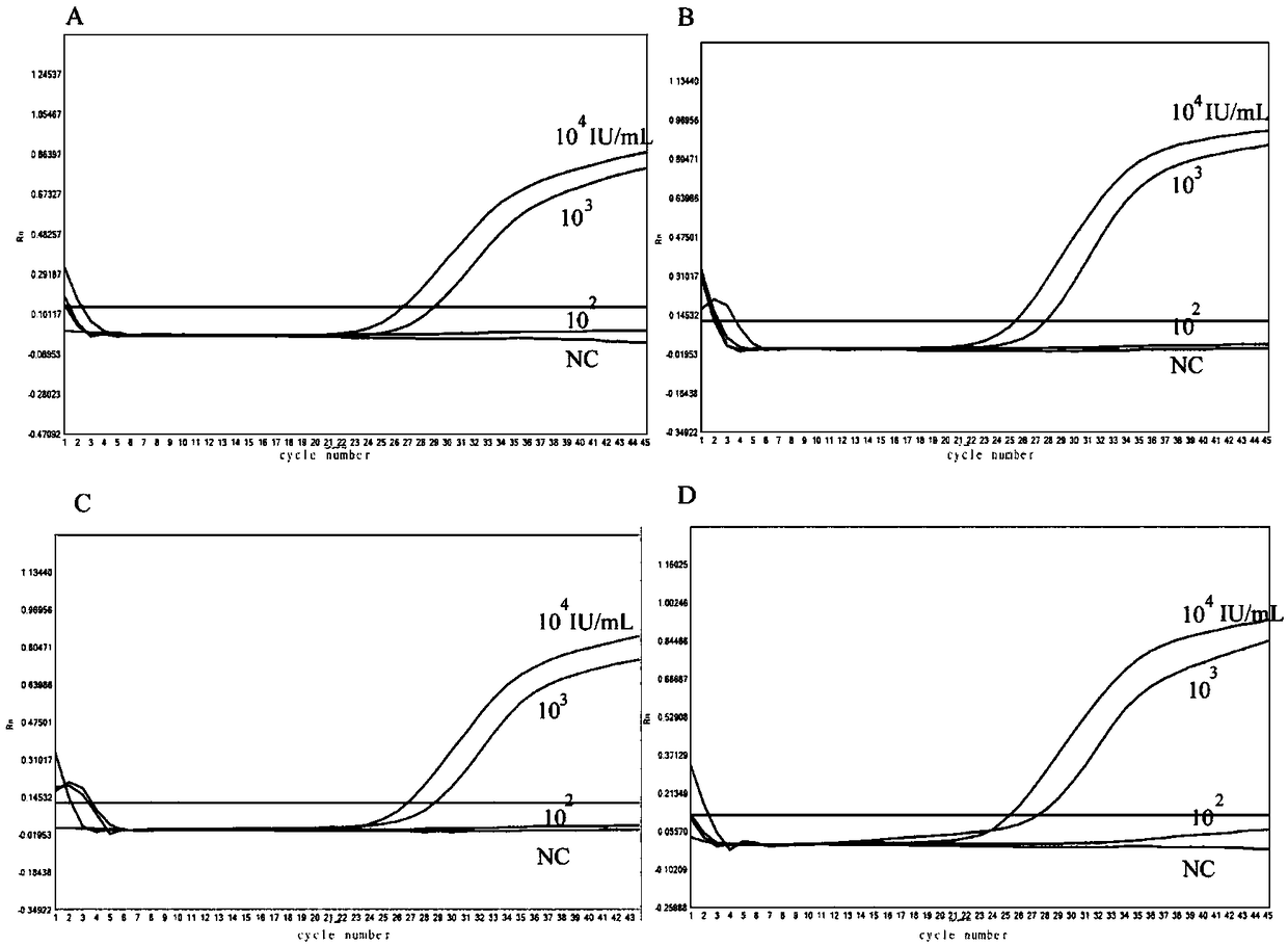 Hepatitis C virus genotyping method based on loop-mediated isothermal amplification