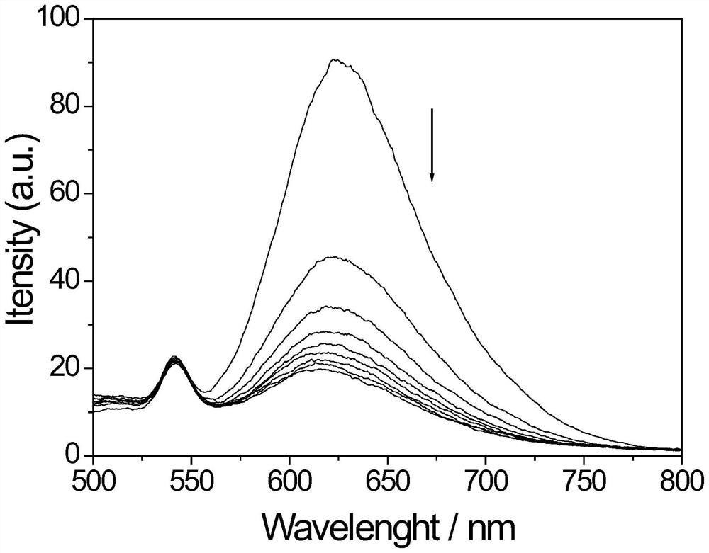 A kind of ruthenium complex fluorescent probe, preparation method and application