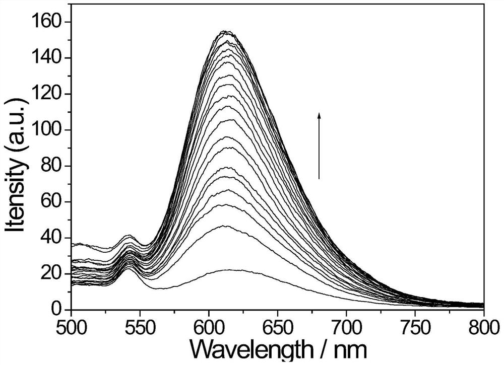 A kind of ruthenium complex fluorescent probe, preparation method and application