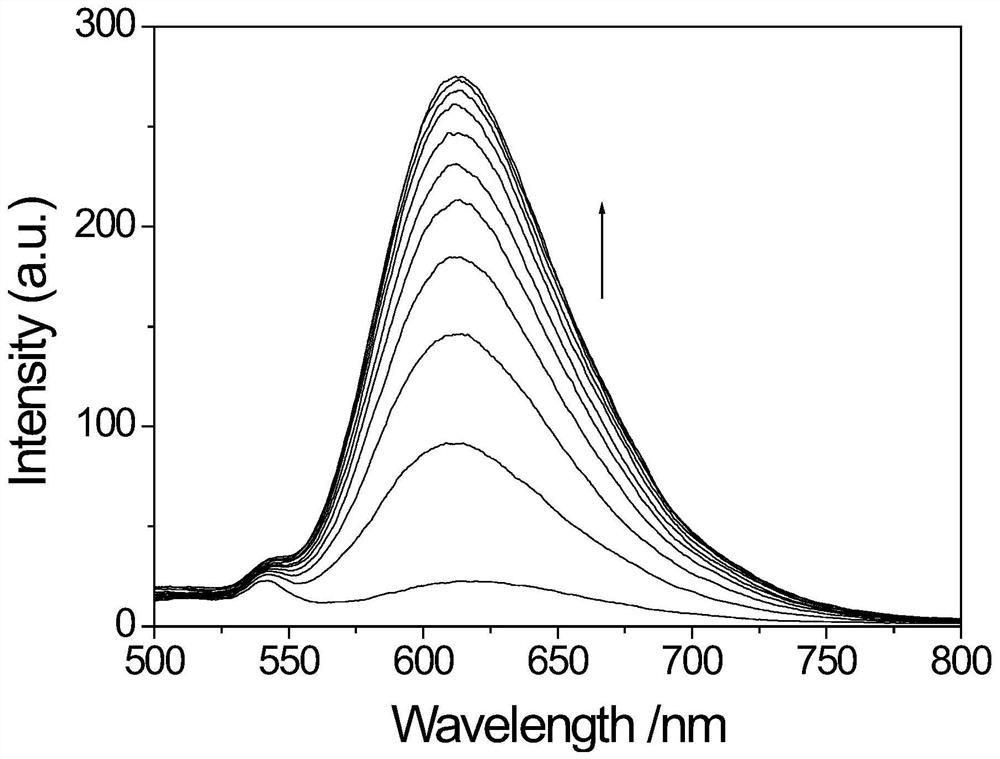 A kind of ruthenium complex fluorescent probe, preparation method and application