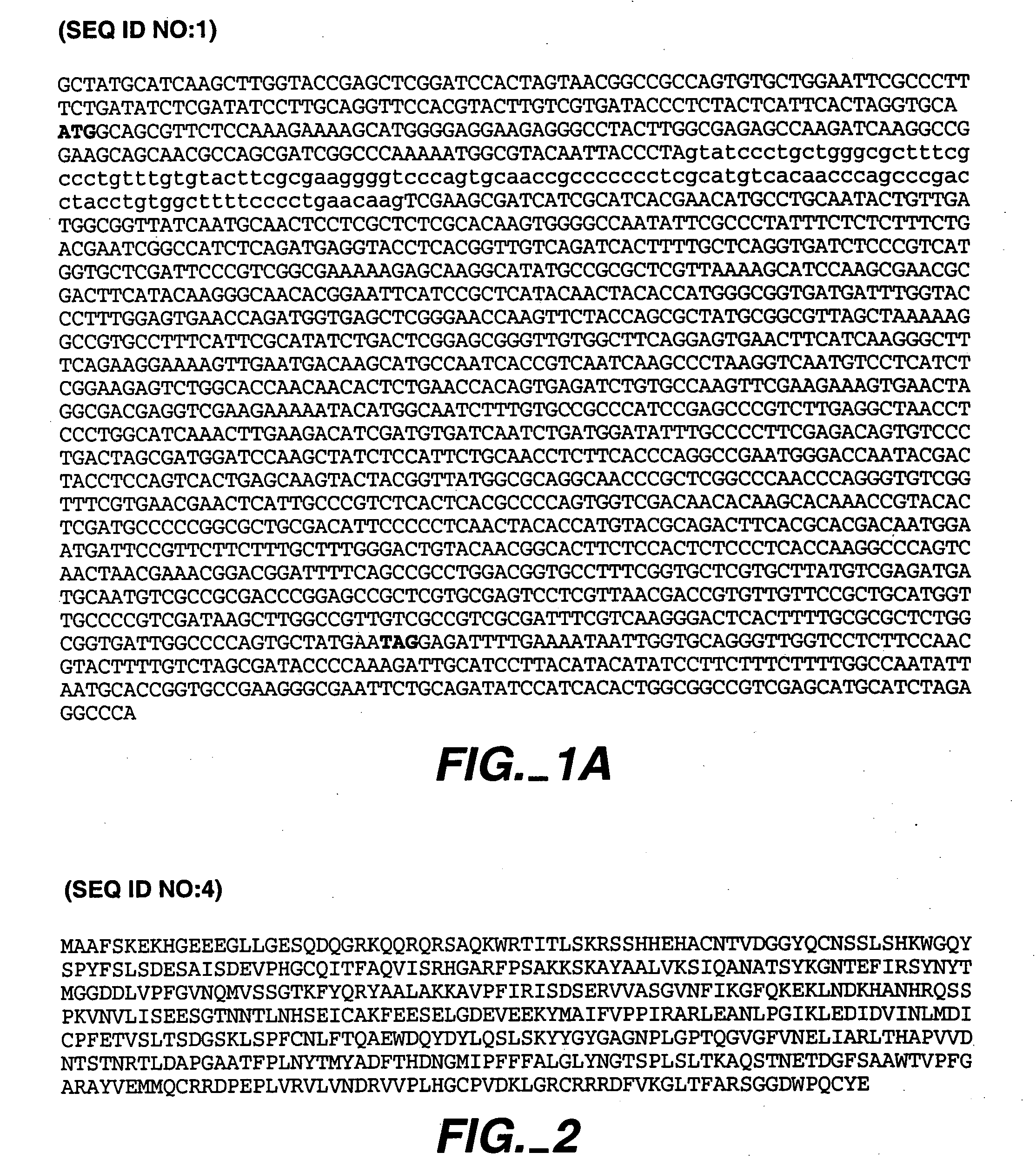 Phytase enzymes, nucleic acids encoding phytase enzymes and vectors and host cells incorporating same