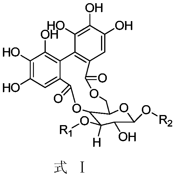 Macrocyclic polyphenol compound, and preparation and application thereof in pharmacy