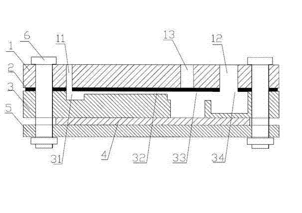 Microfluidic chip for biological chemiluminescence detection and manufacturing method thereof