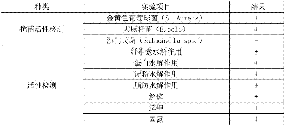 Insect stratiomyiid intestinal tract derived serratia marcescens BSFL06 and application thereof