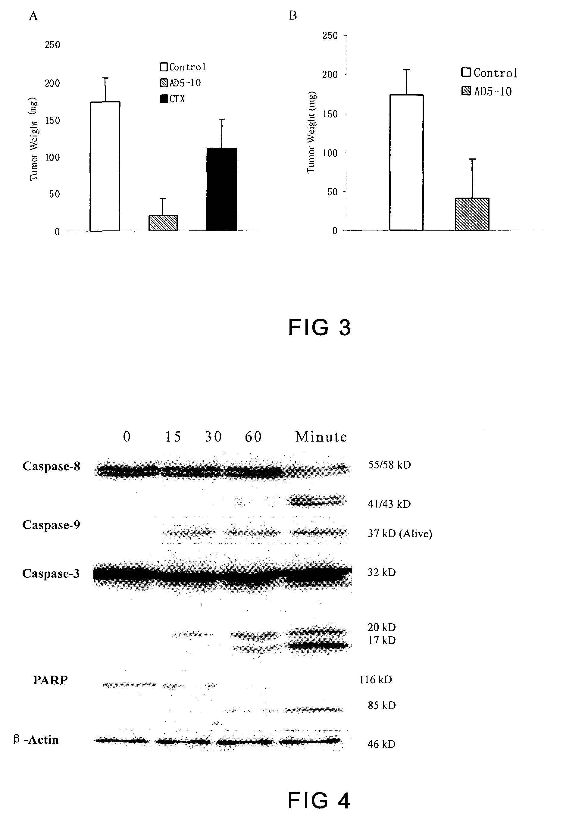 Anti-human trail receptor DR5 monoclonal antibody (AD5-10), method thereof and use of the same